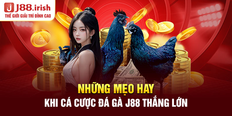 nhung-meo-hay-khi-ca-cuoc-da-ga-j88-thang-lon