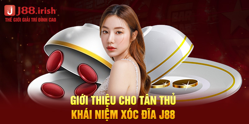 gioi-thieu-cho-tan-thu-khai-niem-xoc-dia-j88